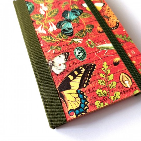Cuaderno mariposas